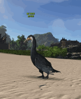 不爱温水作品 天刀ol动图之动物篇