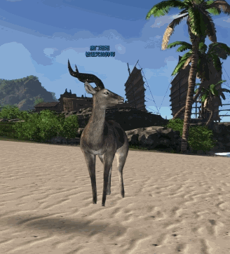 不爱温水作品 天刀ol动图之动物篇