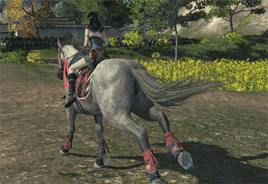 不爱温水作品 天刀ol动图之动物篇