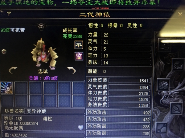连出两只极品神猿宝宝终变2729_天龙八部